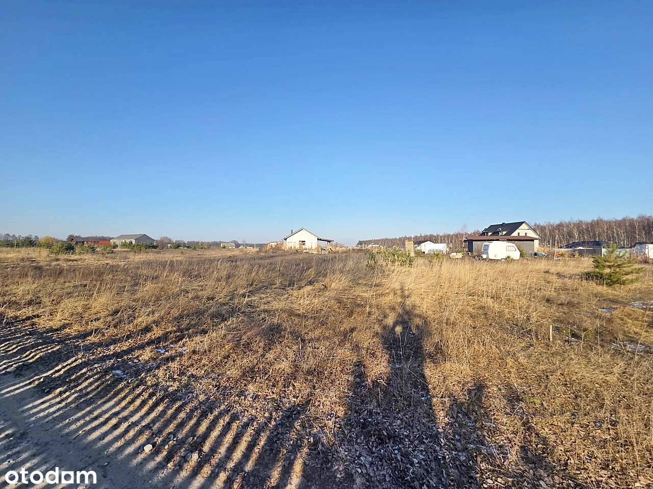 Na nowopowstałym osiedlu w sąsiedztwie lasu-4