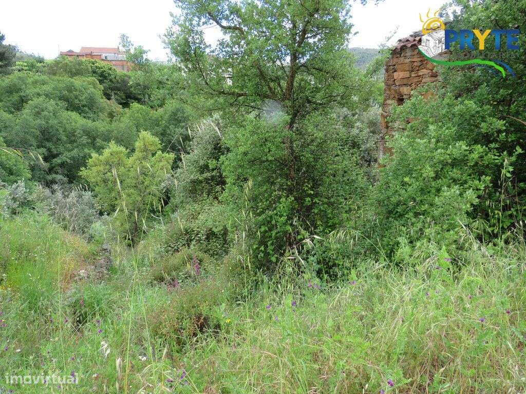 Pequena quinta a confinar com a Ribeira situada perto de Oleiros-33