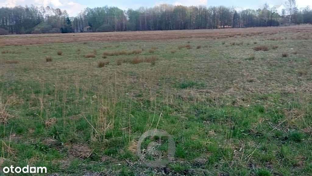 Działka pod stację paliw - przy dr. nr 22 - Pełny obrazek: 4/4