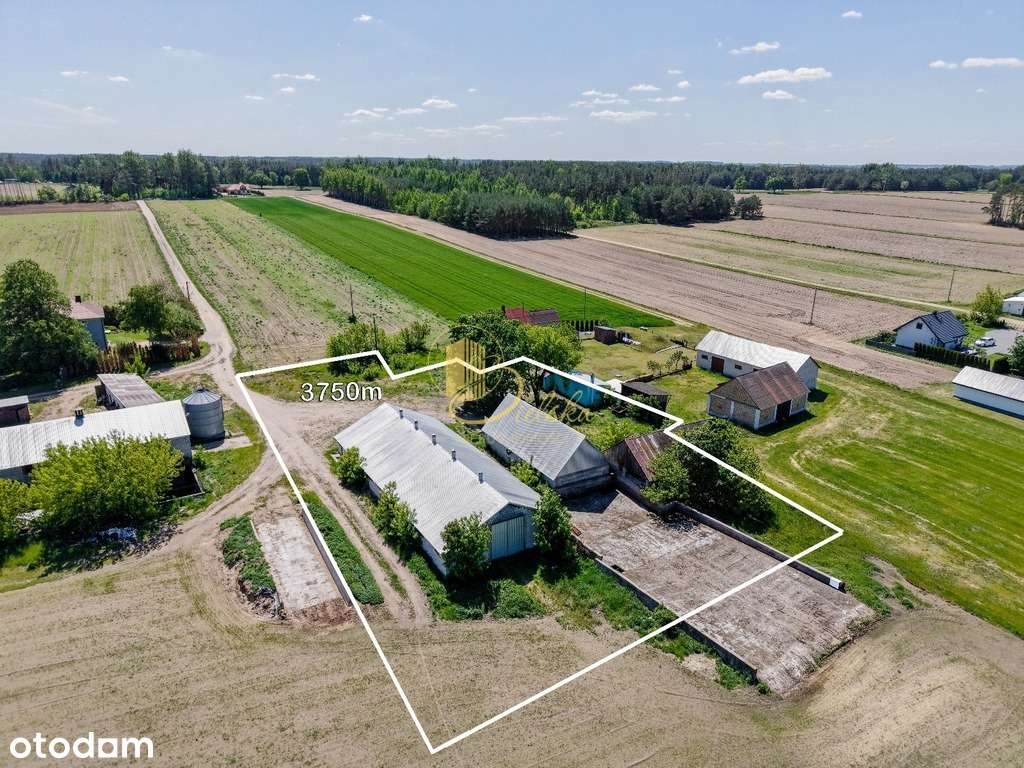 Dom i gospodarstwo z potencjałem  Czechowizna-2