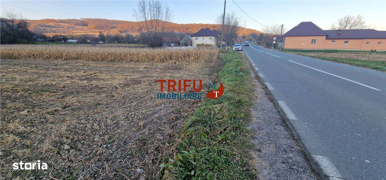 Teren Intravilan în Ampoița 1000mp - Imagine principală: 5/10