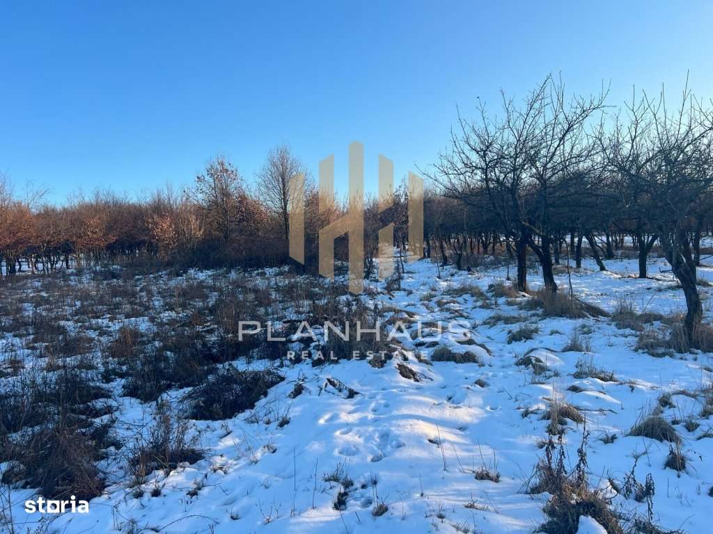 2 Parcele teren, str. Dumbravei, Baia Mare - Imagine principală: 4/4