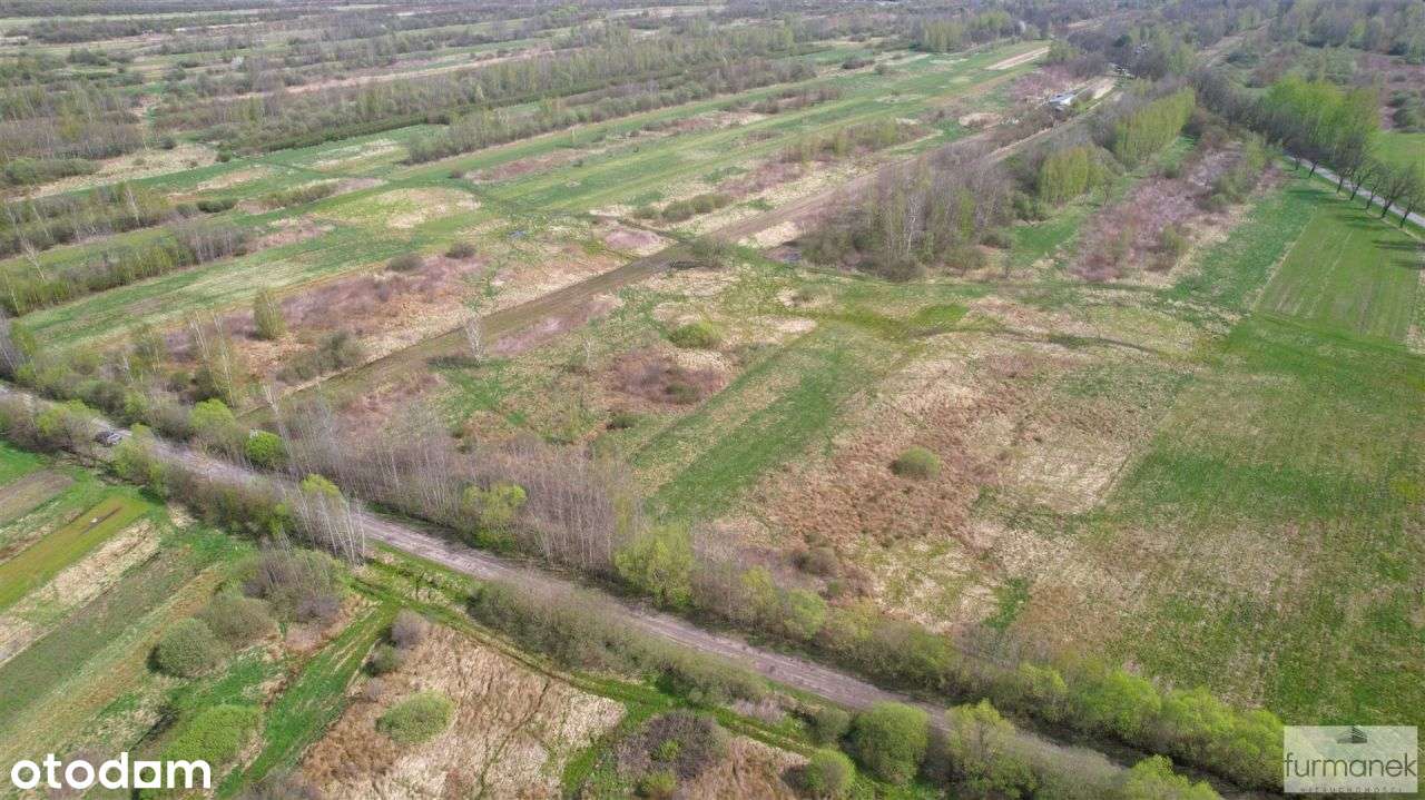 13-arowa działka inwestycyjna na obrzeżach miasta - Pełny obrazek: 5/13
