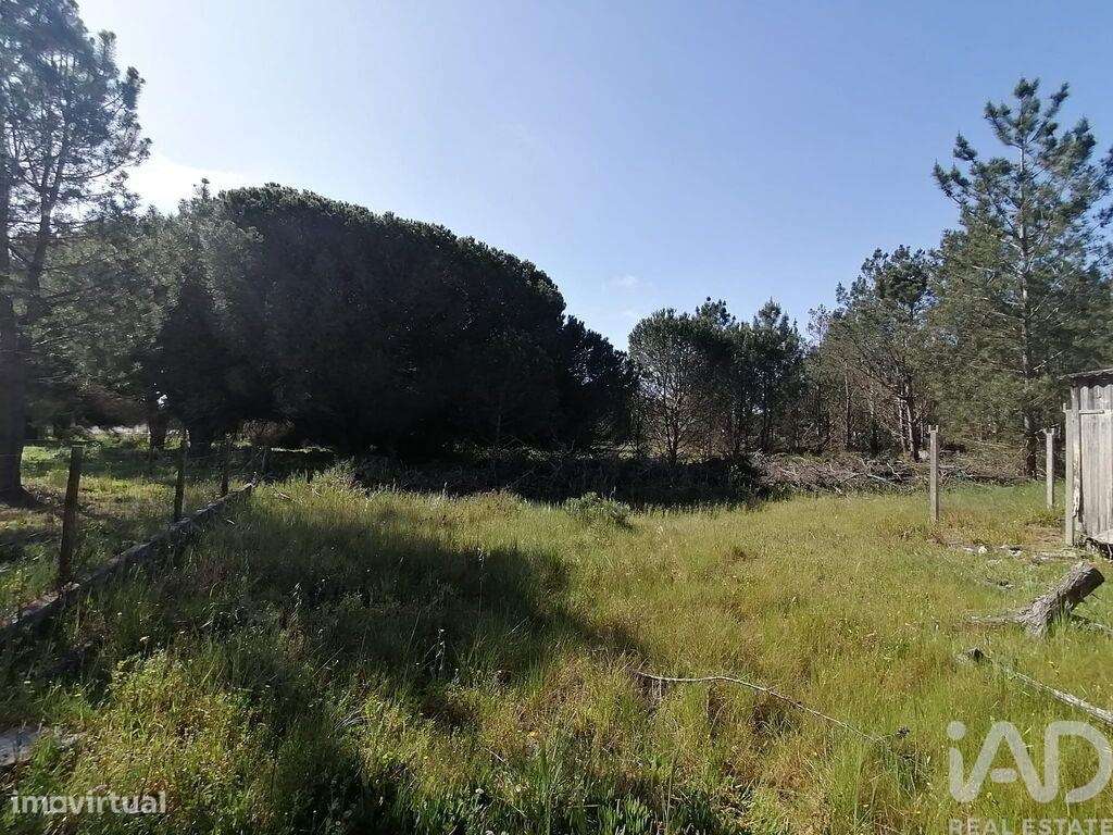 Terreno para construção em Sesimbra (Castelo) - Grande imagem: 5/13