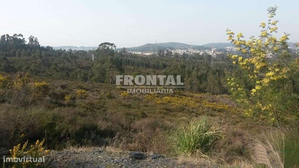 Terreno Industrial - 7 939 m2 | Zona Industrial de Campo, Valongo - Grande imagem: 5/7