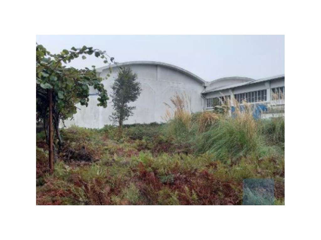 Armazém em Santa Maria da Feira-5