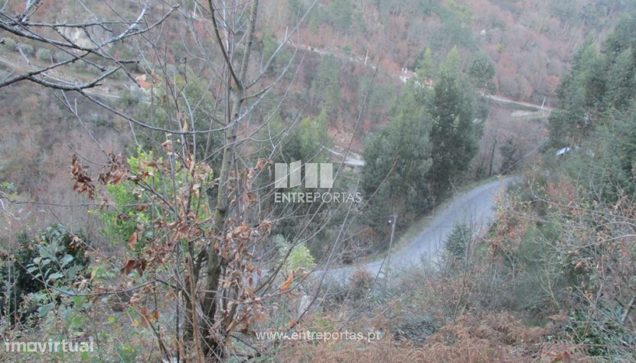 Venda Terreno,Carvalho de Rei, Amarante - Grande imagem: 2/19