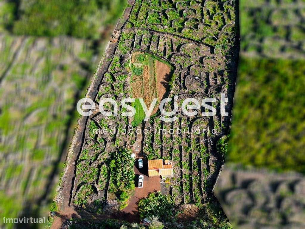 Terreno com Vista para o Mar e Montanha nas Bandeiras - Pico para C... - Grande imagem: 5/15