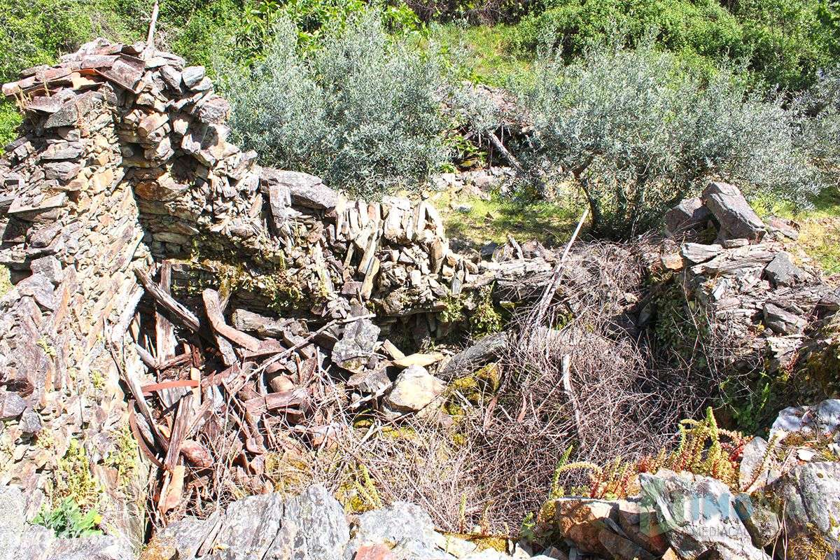 Imóvel Rural - Grande imagem: 4/24