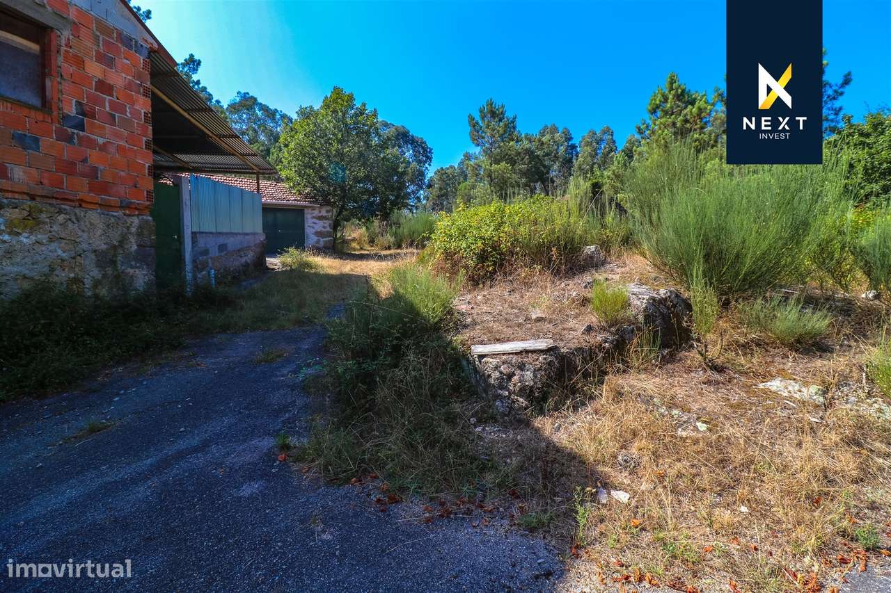 Quintinha com moradia para reconstruir a 10 minutos de Viseu.-11