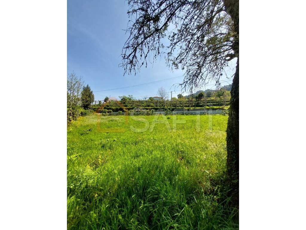 TERRENO - Grande imagem: 5/7