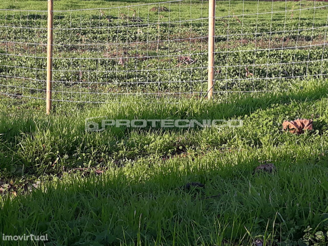 Terreno c/ Projeto p/ moradia isolada e térrea - Sarrazola