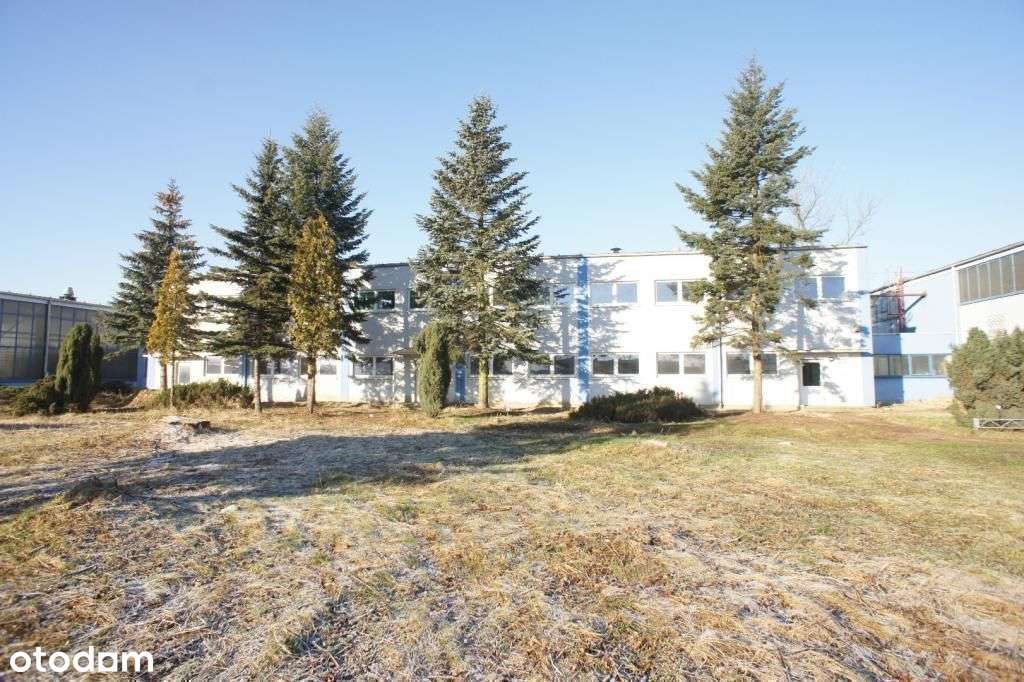 Toplokalizacja. Magazyny, Biuro,Usługi, Handel - Pełny obrazek: 5/9