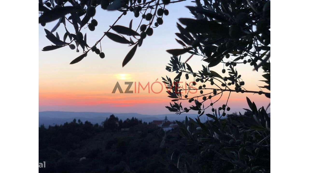 Moradia em Aldeia do Xisto-32