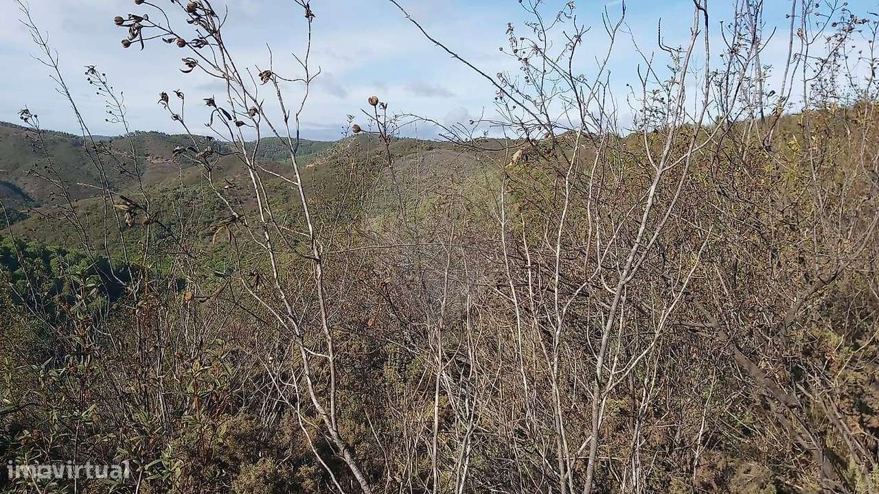 Terreno  para venda - Grande imagem: 4/6