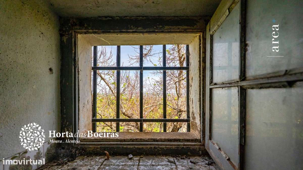 Imóvel Exclusivo | Hortas das Boeiras-18