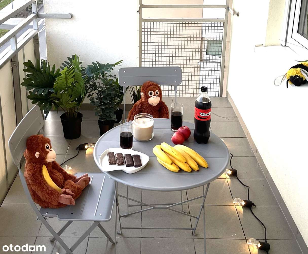 Ataner trzypokojowe z balkonem - Polanka tuż obok Jeziora Maltańskiego