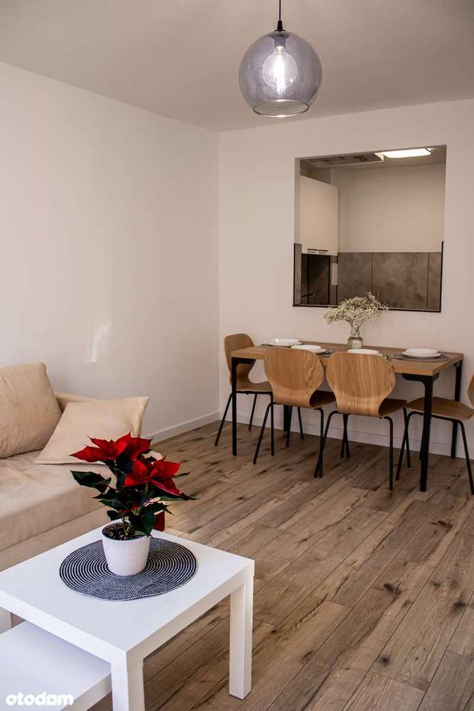 Mieszkanie - 2 Pokoje - PIERWSZY NAJEMCA -Świetna lokalizacja-1 piętro - Pełny obrazek: 3/17