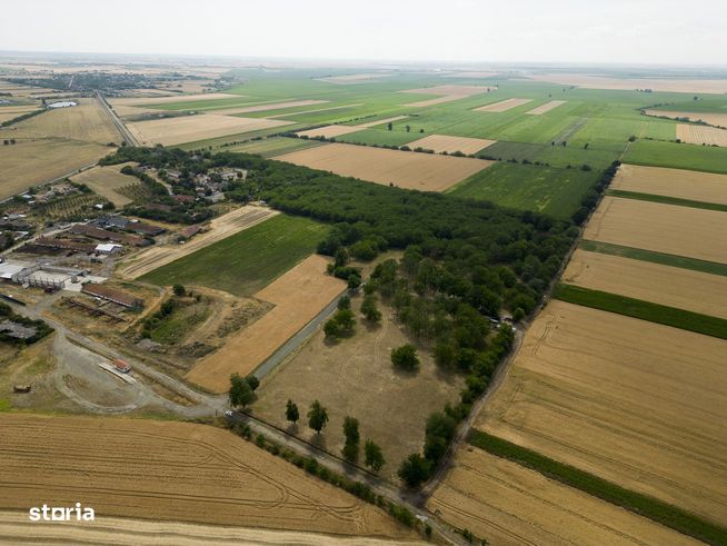 Teren aproape de băile termale Şofronea-3