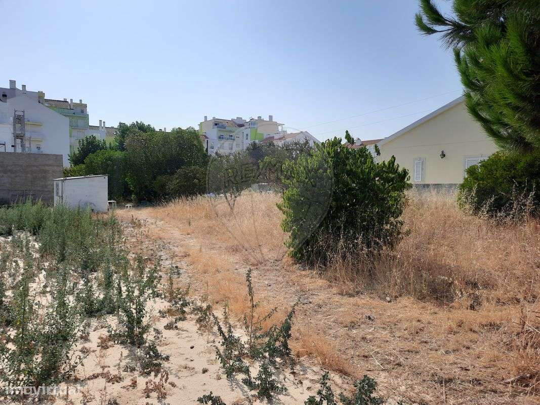 Terreno  para venda - Grande imagem: 4/6