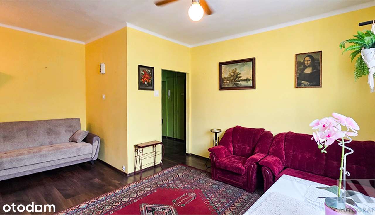 Mieszkanie 37,7 m² z dużym potencjałem, świetną lokalizacją i zielenią - Pełny obrazek: 3/11