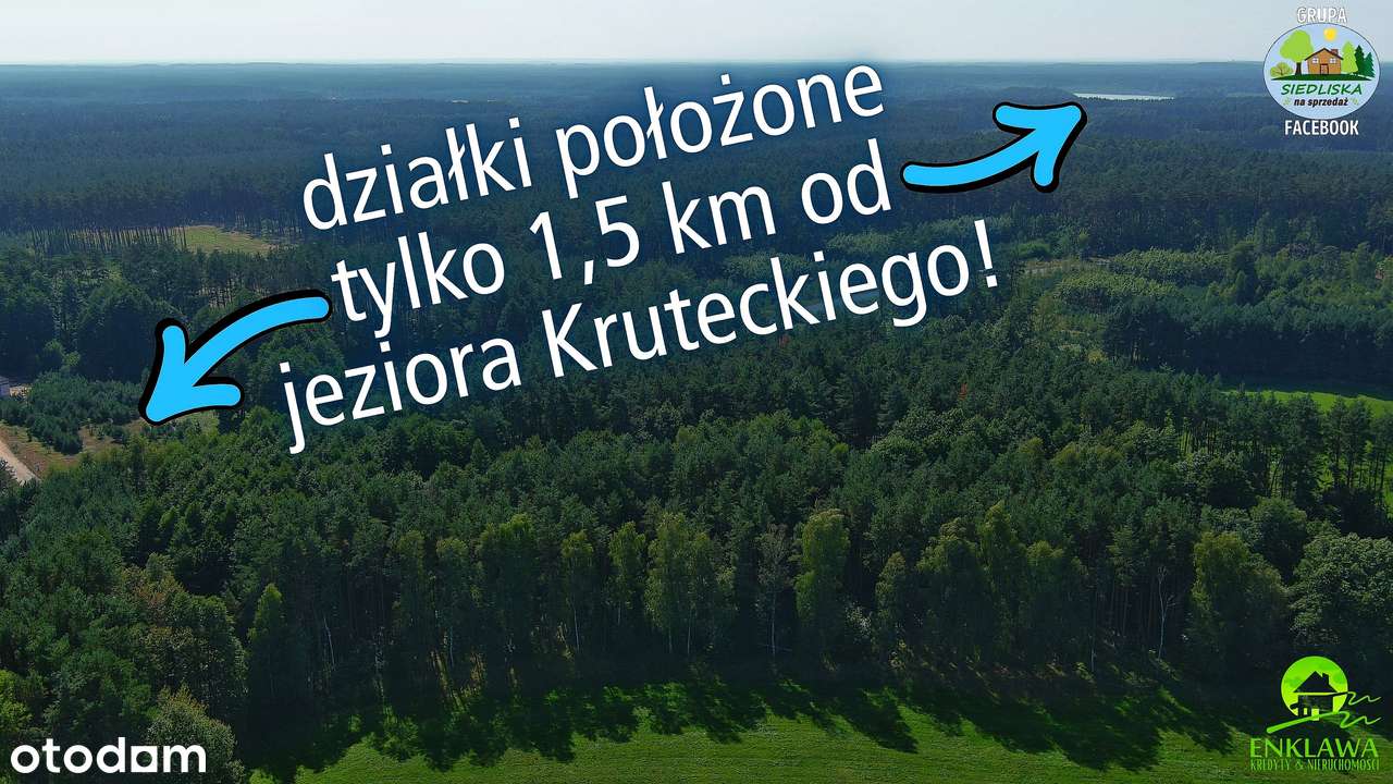 ENKLAWA prezentuje: działka w MEGA okolicy! PUSZCZA NOTECKA + jezioro!-3