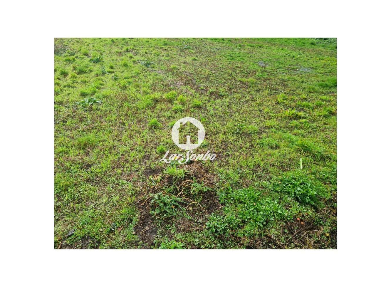 Excelente terreno em Esposende para Construção de Moradias-9