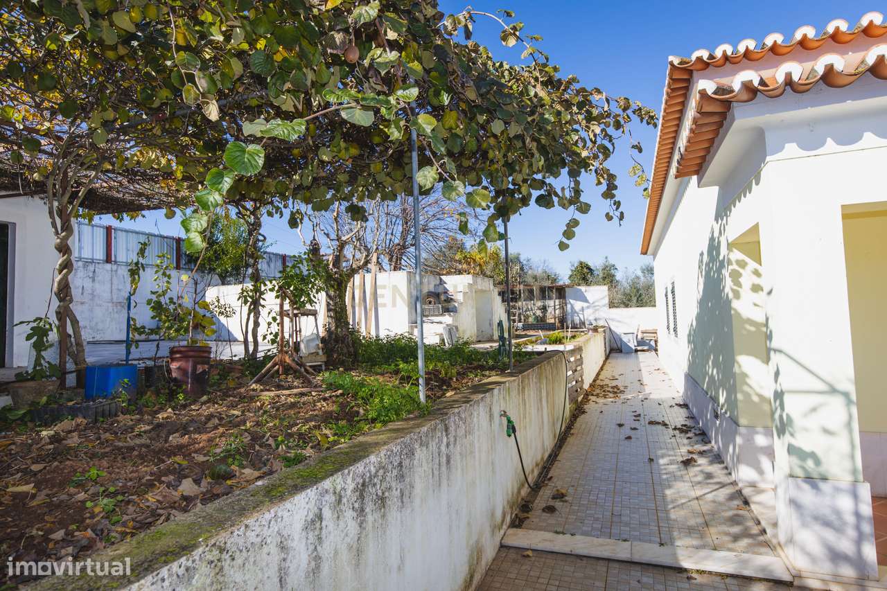 Moradia Térrea T4+1-13