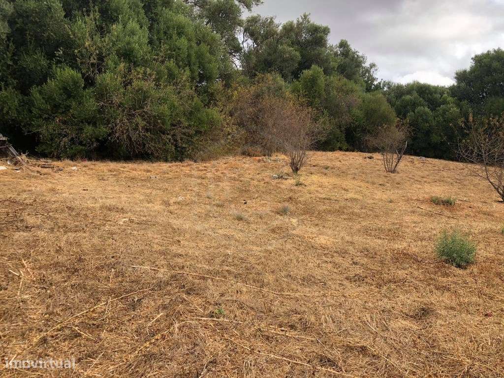 Terreno rústico em malha urbana, Salir, Algarve - Grande imagem: 3/11