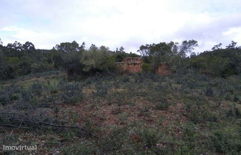 Terreno com Ruína Legalizada – 11,85 ha – Aljezur - Grande imagem: 5/10