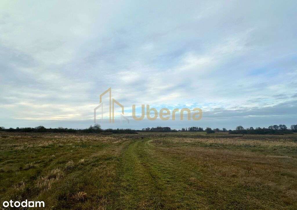Działka rolna Gm.Goleniów na sprzedaż-4