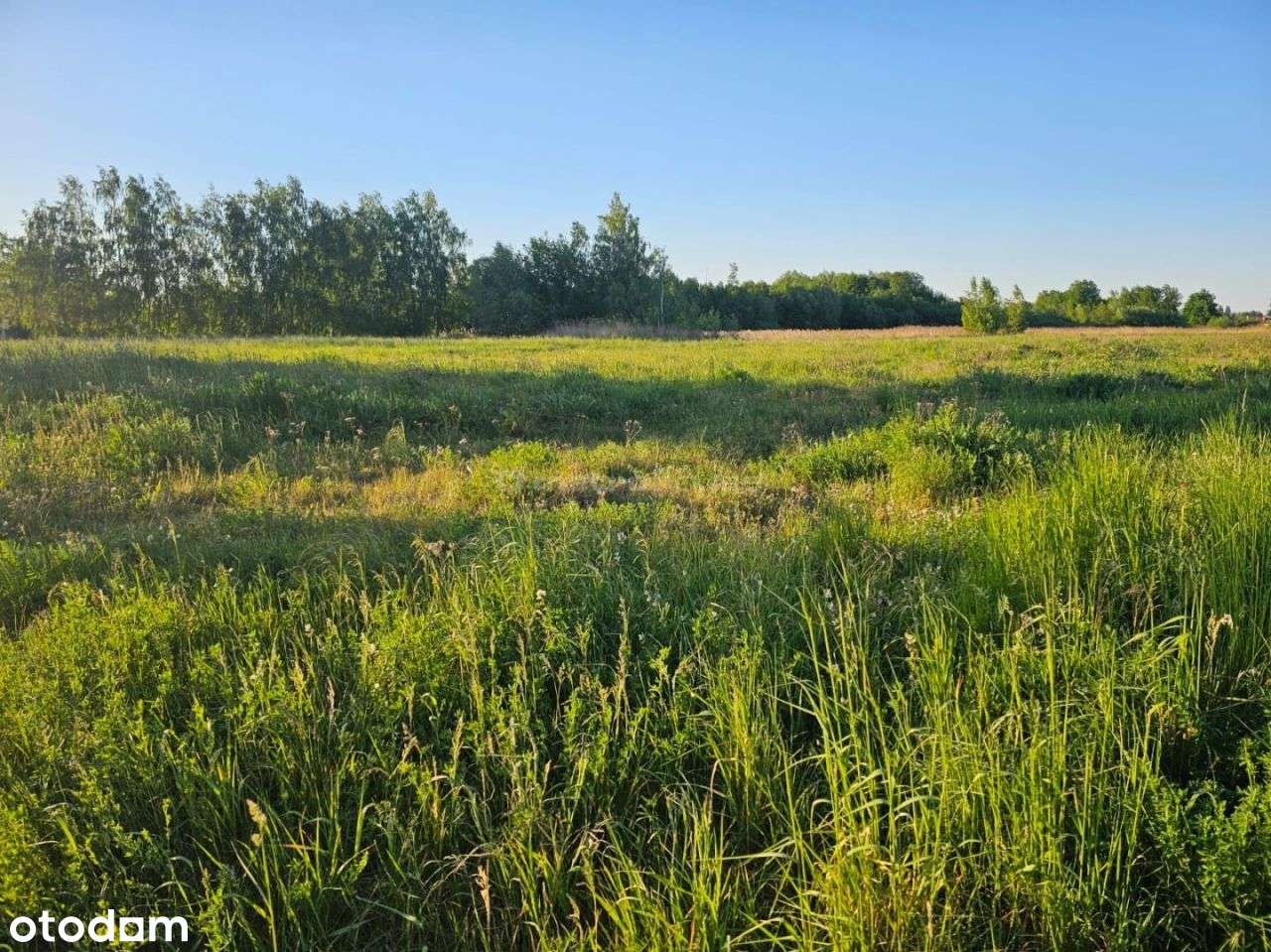 Działka z Wydanymi Warunkami Zabudowy | Ursynów – Jeziorki Płd. - Pełny obrazek: 5/7