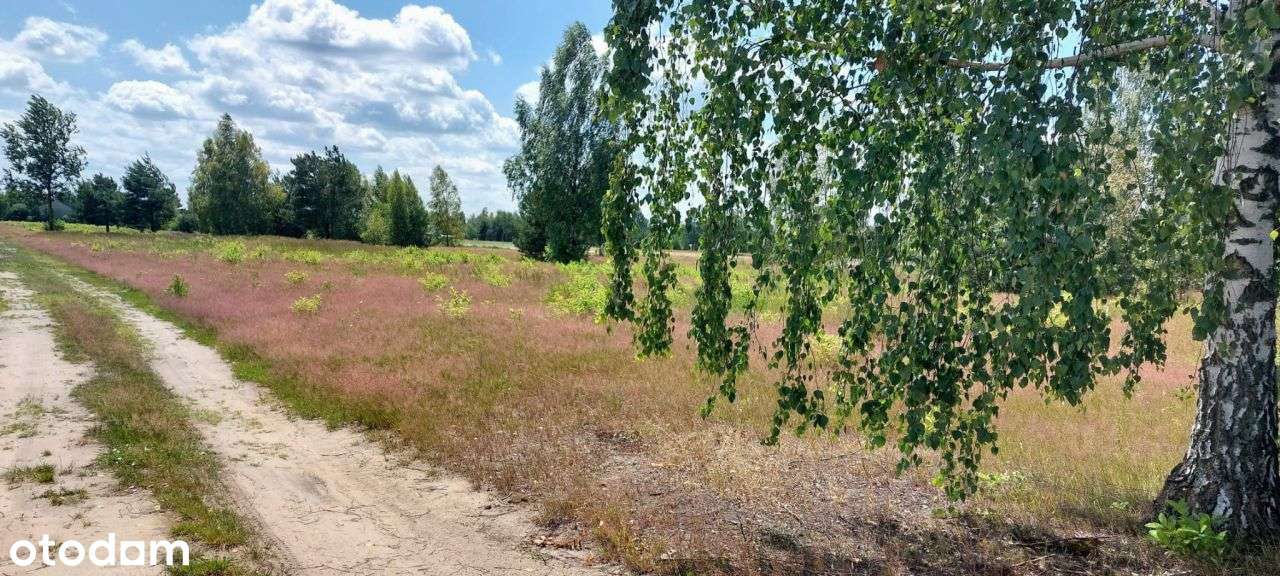Działki budowlane Jesionka tylko 18 km od Warszawy - Pełny obrazek: 5/12
