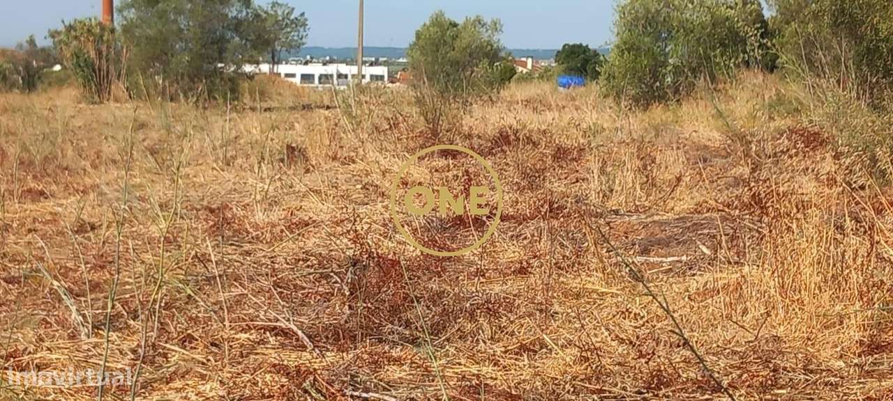 Terreno com 21.960 m2 e viabilidade construtiva | Vila Nova da Barquin-4