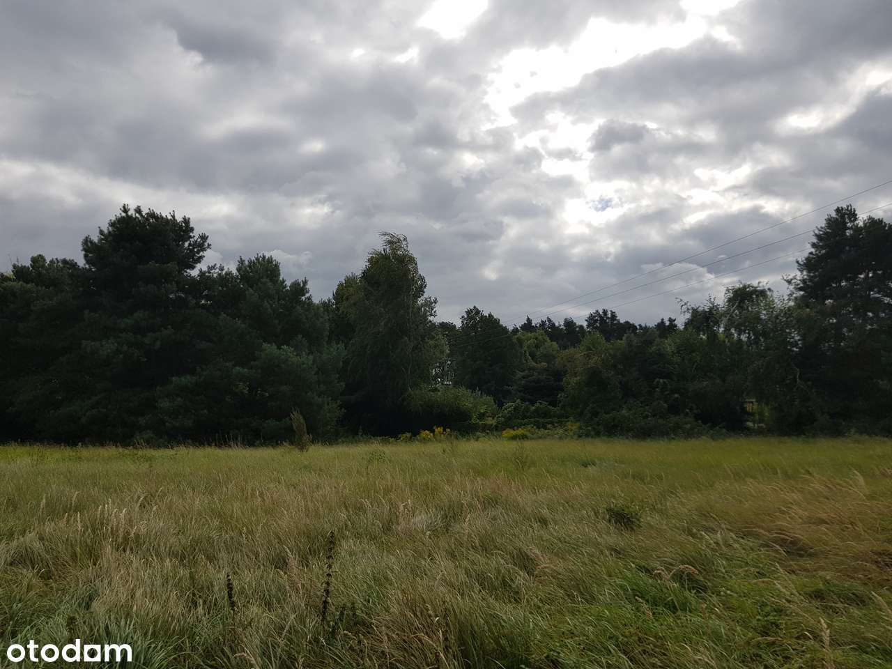 Piękna działka 400 m od Jeziora Duży Szarcz, MPZP-5