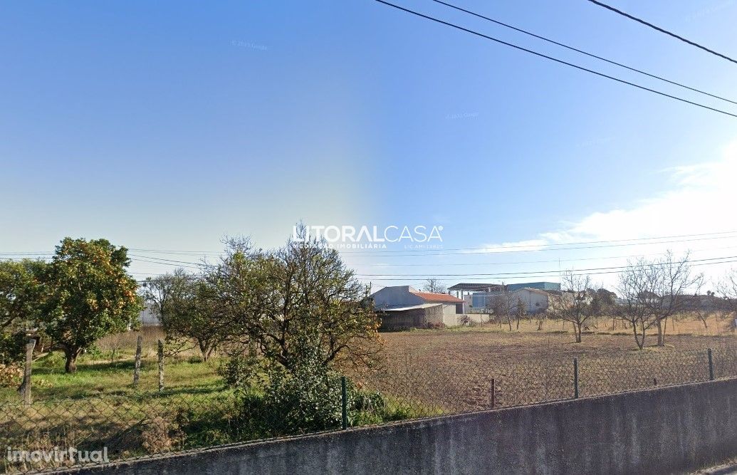 Terreno em Oliveira do Bairro