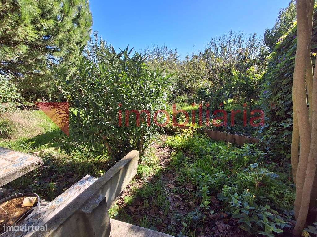 Moradia Rustica inserida numa Magnifica Paisagem Vinícola-22