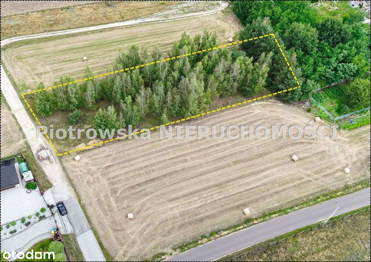 Działka, 21 000 m², Warta-5