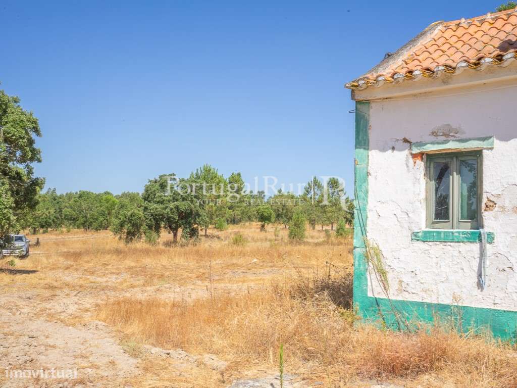 Quinta de 20ha com projeto para Turismo Rural a 1h de Lisboa-18