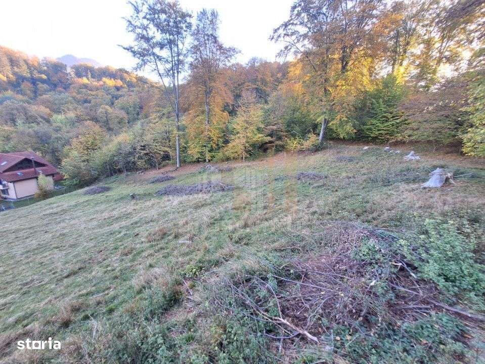 Teren intravilan Brasov Strada Ciresului 2900 mp-7