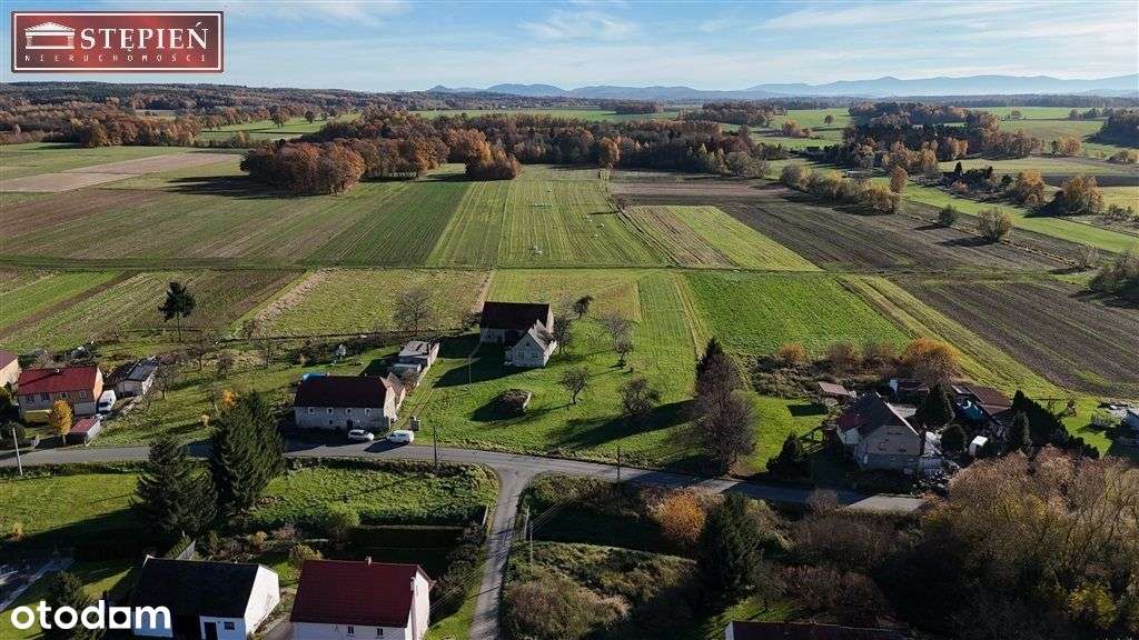 Działka, 5 454 m², Zbylutów - Pełny obrazek: 4/10