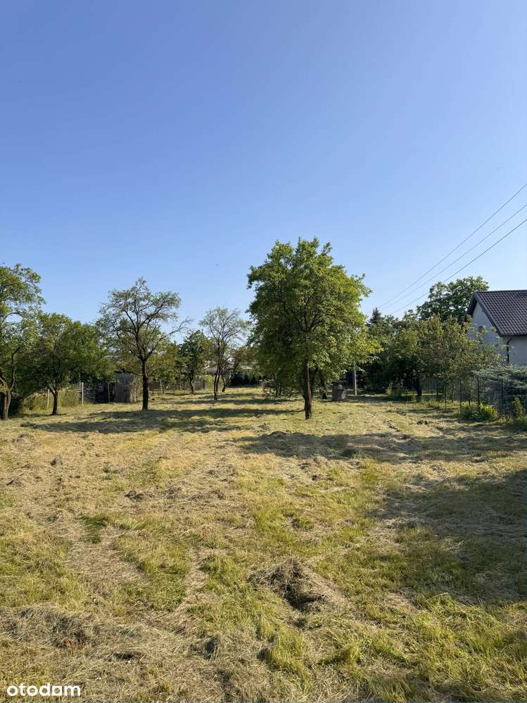 Siedlisko pod Puławami – cisza, spokój i przestrzeń - Pełny obrazek: 4/8