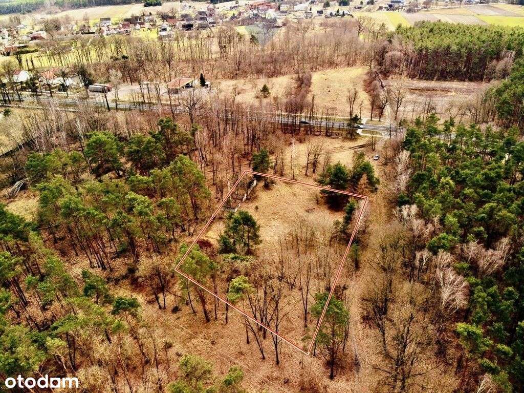 Działka budowlana 4081 m2, Dąbie - Pełny obrazek: 4/8