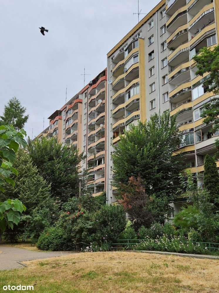 Atrakcyjne 59 m2 – Olsza – ulica Meissnera –-18