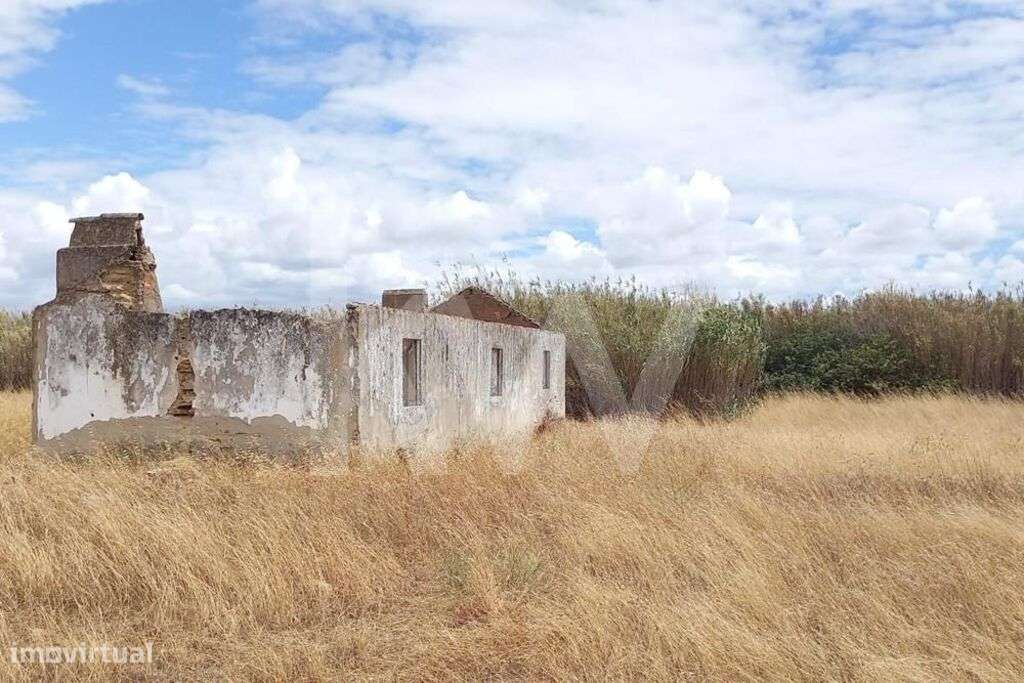 Terreno Corte das Cheiras com cerca de 28.000 m2 | Estrada real, Monti - Grande imagem: 2/17