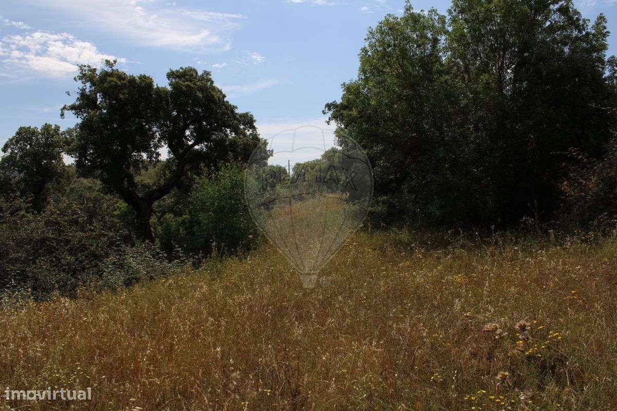 Terreno  para venda - Grande imagem: 4/10