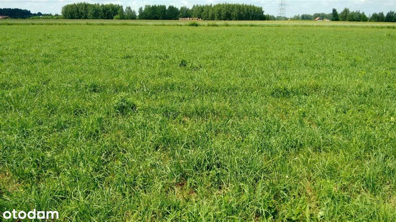 Działki Komorów. - Widok 3