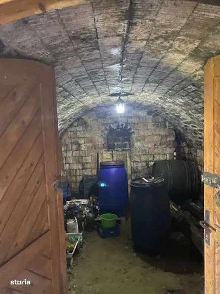 Casa deosebita, cu 14 ari teren, zona Bradet - Imagine principală: 4/4