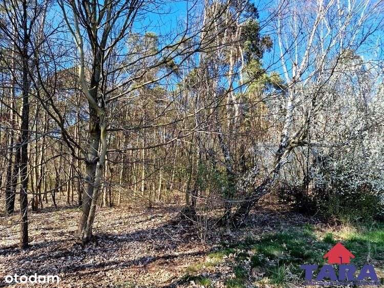 Grunt w Załachowie-10