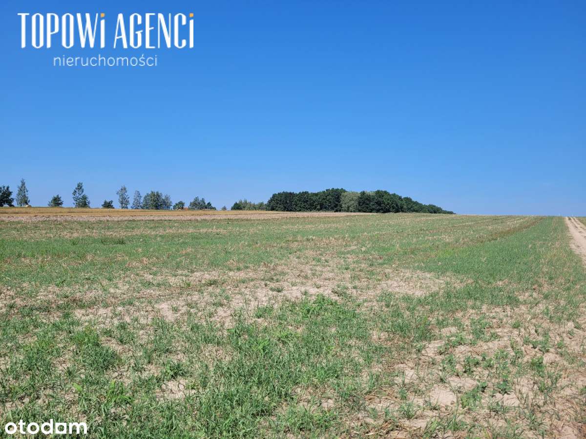 Działka nad rzeką,Park Kampinoski warunki zabudowy-16